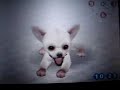 Nintendogs #2