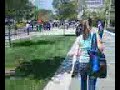 school