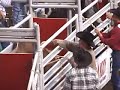Rodeo Uncovered