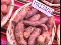 papas-nativas-y-lidia-cortez.html