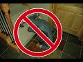 Rap Video Party (Joe\ Rap Video Party (Joe\