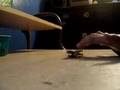 videos de TECK DEkC.