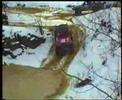 Steinbeisser-Trophy 2007 - Video 1 Steinbeisser-Trophy 2007 - Video 1
