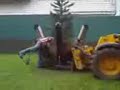 Moving A Tree Pt.1