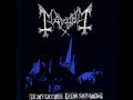 Life Eternal -Mayhem-