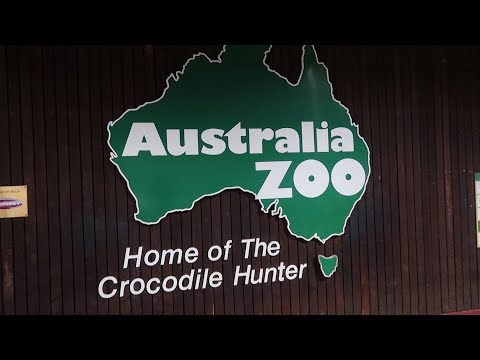YouTube reptile video