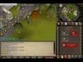 Runescape Bank Skills