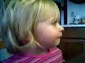 Harley watching Clifford the big red dog Harley watching Clifford the big red dog