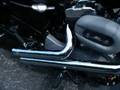 Nightster with V&H Chrome Sideshots