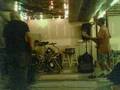The Burning Seeeds -Disambiguation (Pigeon)