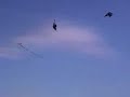 Kite team Evolver - 2002