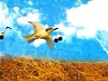 video promo for zubot and dawson 2000 album tractor parts: further adventures in strang.  animation by carylann loeppky. art by john rummen, nettwerk records.