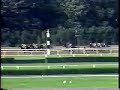 Swale - 1984 Belmont Stakes