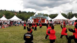 2016 Edmonton Heritage Festival Taegeuk Taekwondo Demo Team Performance