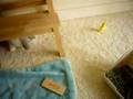 Plopp's Tiny Friend