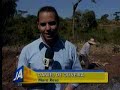 Colheita do A�afr�o