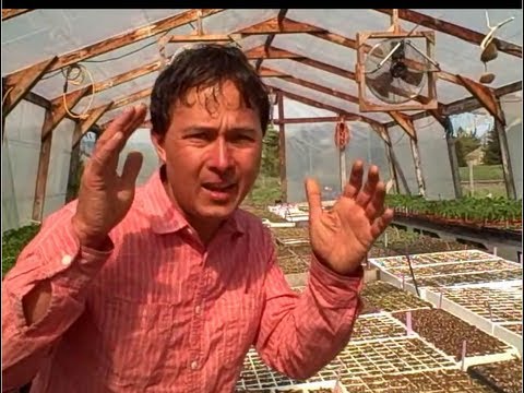 Garden tips - John from http://www.growingyourgreens.com/ goes on a field trip to Bounty Farm in Petaluma, California. In this episode you will learn 10 tips that the farm...