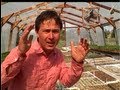 10 Tips from a Farm you can Use in Your Vegetable Garden