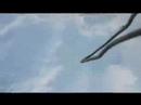 The Kingdom:  AVALON7 VIDEOBLOG 1