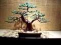 Bonsai Tree Sculpture #4 by Jim Shull