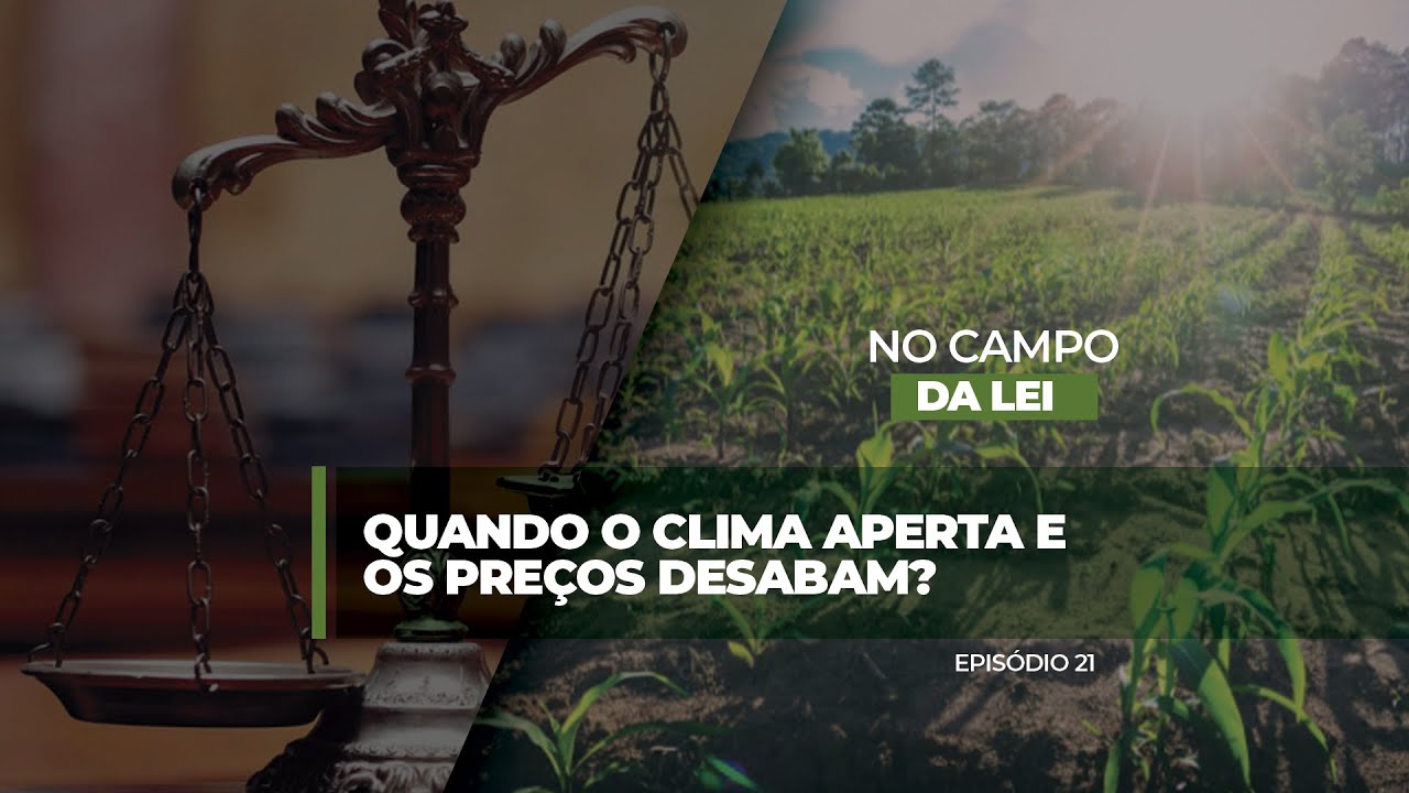 Quando o clima aperta e os preços desabam: dicas essenciais para o produtor se proteger