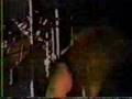 Assistir ao v�deo