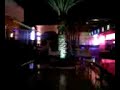 Micheal Jackson at the Sydney Bar in Greece Kefalos