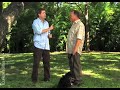 Puppy Training Video - Socializing (Episode 8) Puppy Training Video - Socializing (Episode 8)