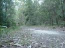 tylor varty and jordan thorncroft`s movie