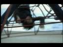 Schiller mit Heppner - Dream of you.mpg Schiller mit Heppner - Dream of you.mpg