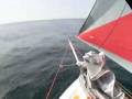 Mini 6.50 sailing in Brittany for MINI FASTNET start