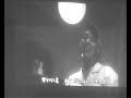 Bizio al Didjeridoo Bizio al Didjeridoo