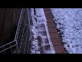Yummy Snow!