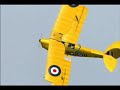 Tiger Moth Tiger Moth