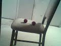 sponge ball trick sponge ball trick
