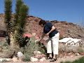 Prickly Pear.wmv