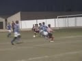 un bosterito en palma de mallorca