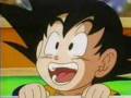 DBZ - Wuppie