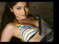  - MovieZen Video