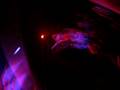 videos de TDWP-HTML Rulez D00d