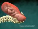 child birth child birth