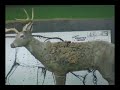 Slow-Mo Archery