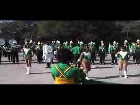 Various Worthing Mardi Gras Clips