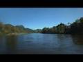 videos de Green Peace - World Lungs