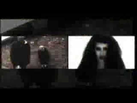 Youtube Video cgB4GiplByU