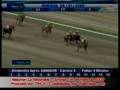 videos de Resumen de carreras Domingo 04 de Enero del 2009