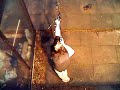 my form from above 15-03-2008
