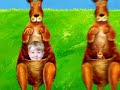 alphabet video 