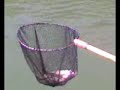Black Bass no Capivari - a Luta