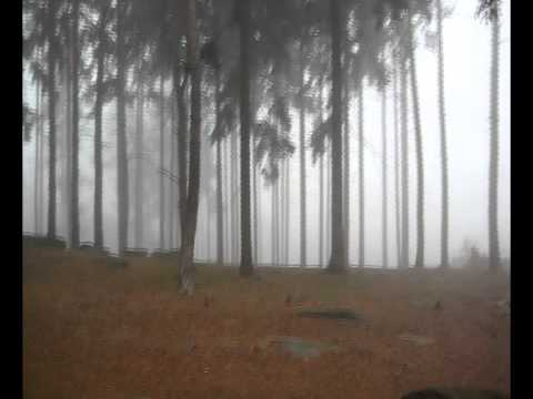 Youtube Video cgDLBjkDufI